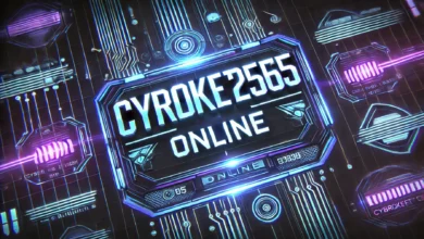 cyroket2585 online