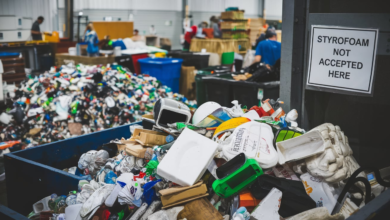 Can You Recycle Styrofoam